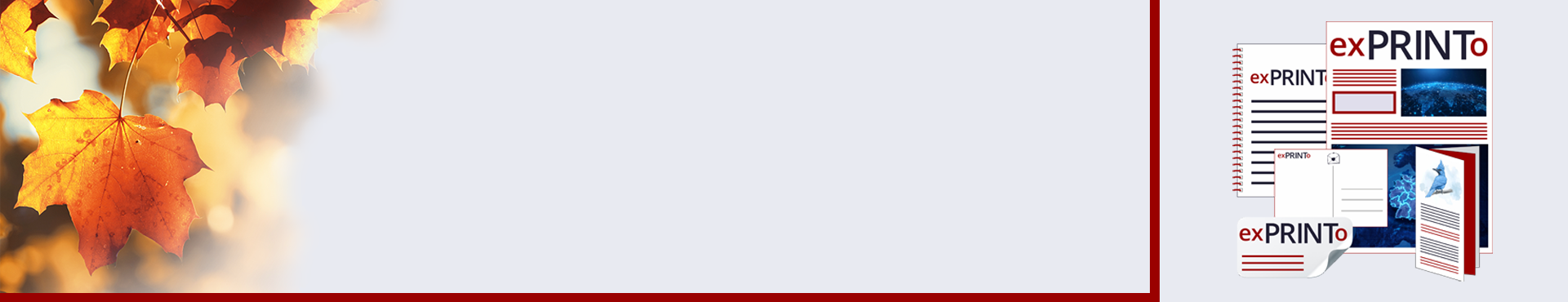 Veranstaltungen & Feiern